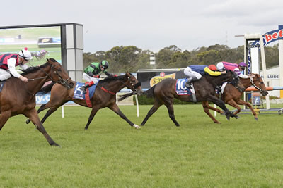 ONPICALO-METROPOLITAN WIN NO 5!.